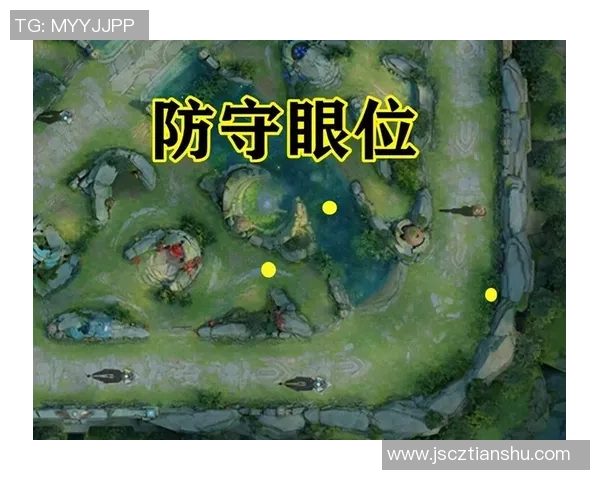 王者荣耀深度：解密LNG的区域防守