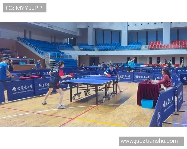 乒乓球专题：聚焦南京乒乓球队的团队协作