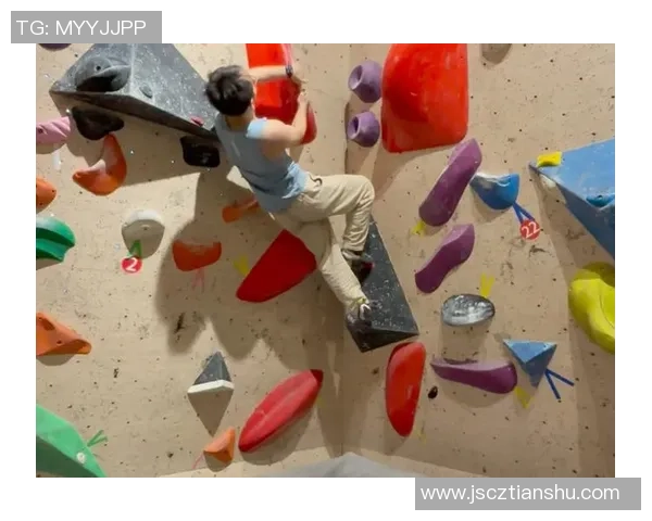 数据分析：上海攀岩队的状态表现